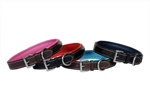 Fancy Stitched Dog Collars with Colored Padding