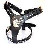 Leather Dog Harness with Crystals Bull Dog Design