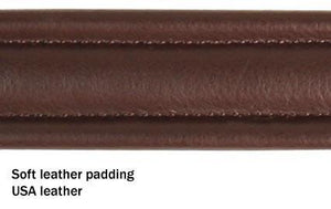 Padded Fancy Stitch Dog Collar USA Leather