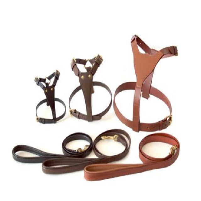 Tugby Leather Padded Dog Harness with Lead