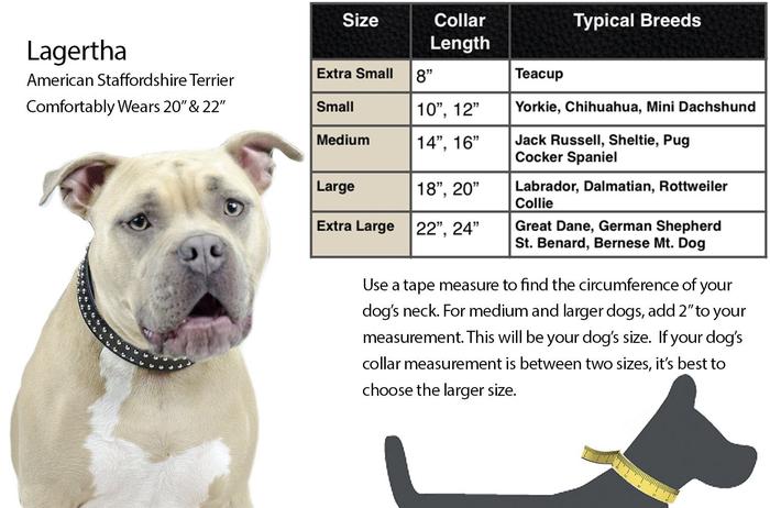 Crystal Padded Dog Collar USA Leather