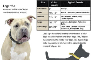 Crystal Padded Dog Collar USA Leather