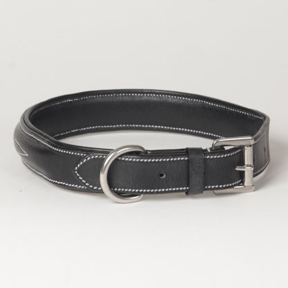 Fancy Stitch Leather Padded Dog Collar
