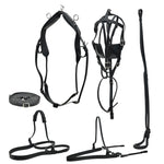 SIE Horse Driving Leather Harness Set - All sizes