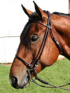 Rolled Leather Horse Bridles / Bridle