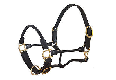 Qty.5 All Sizes Rolled Leather Halters black with solid brass sieequestrian.com