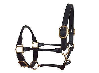 Qty.5 All Sizes Rolled Leather Halters black with solid brass sieequestrian.com