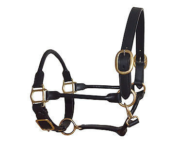 Premium Leather Rolled Adjustable Mini Horse Halter - Full / Cob / Pony / Mini