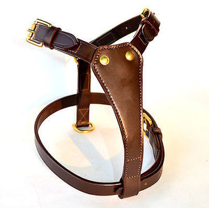 Tugby Leather Padded Dog Harness with Lead