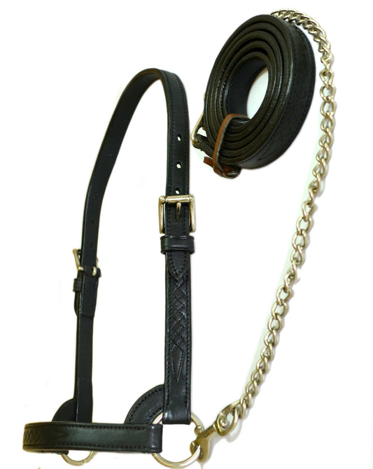 Cattle Halter with matching Fancy Stitching Calf