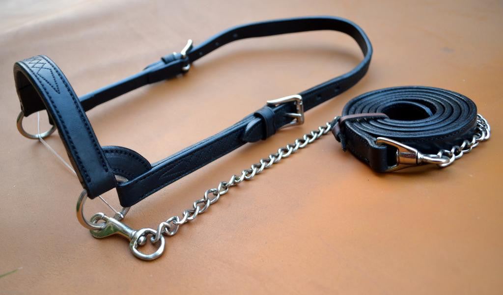Cattle Halter with matching Fancy Stitching Calf